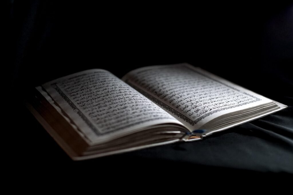 qur'an, arabic, mosleem, holy book, book, symbol, islamic, pray, qur'an reading, qur'an, qur'an, qur'an, qur'an, qur'an, islamic, islamic, islamic